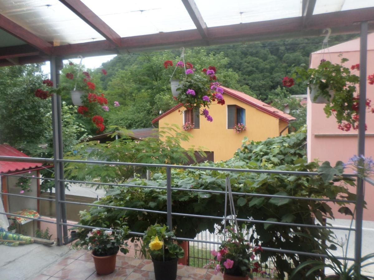 Casa Iza Băile Herculane Exterior foto